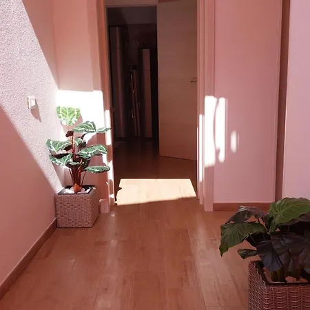 Casa de hóspedes Balu 3*