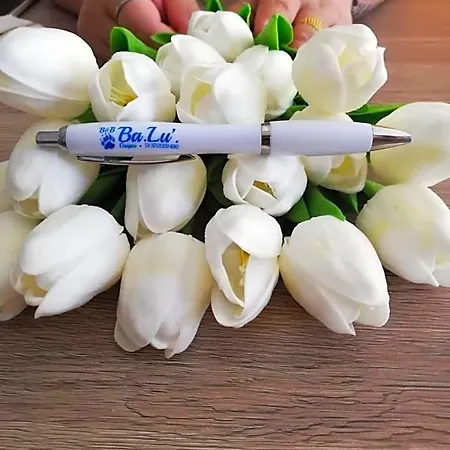 Balu
